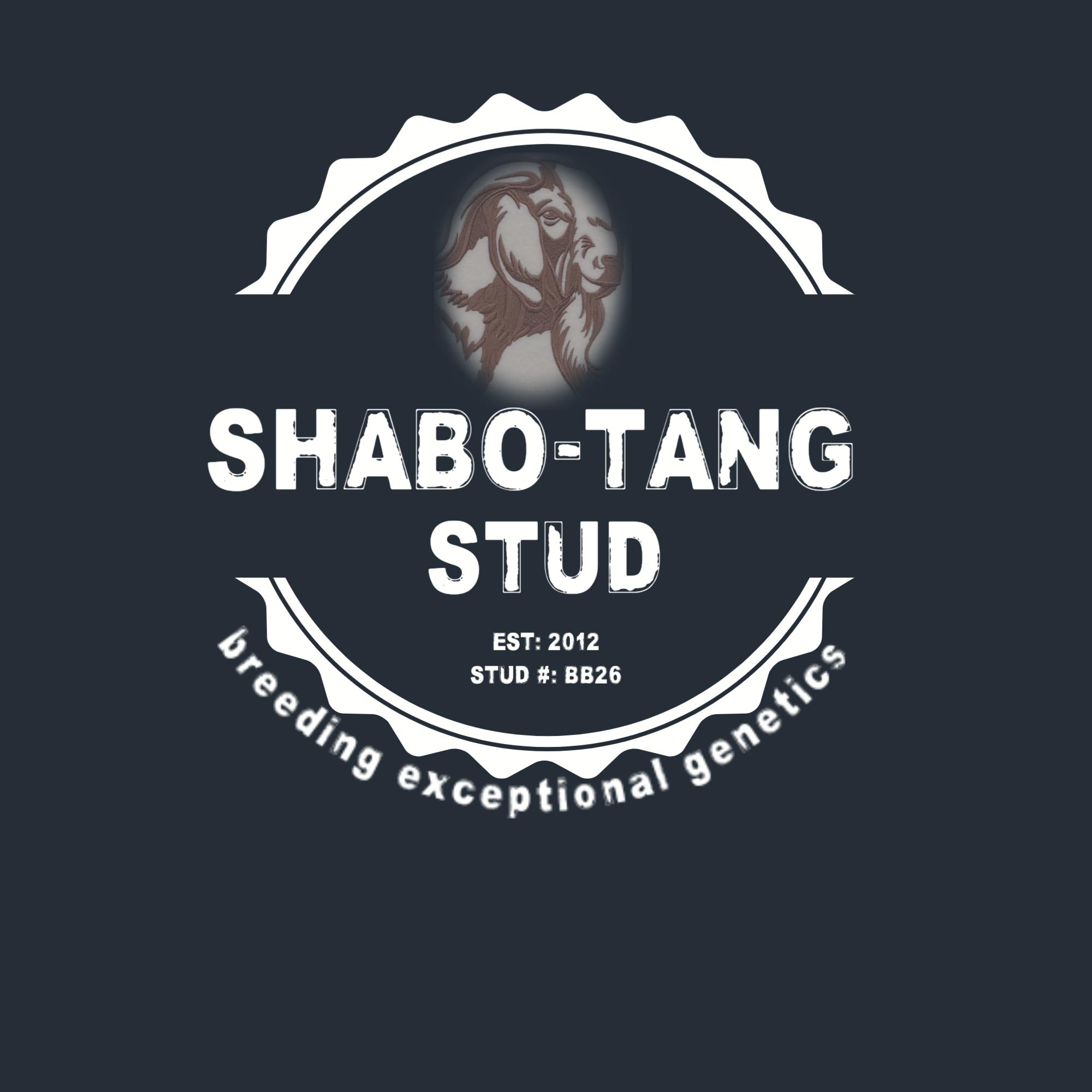 SHABO-TANG STUD